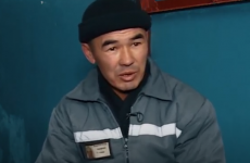 Шибөрілер шатағы